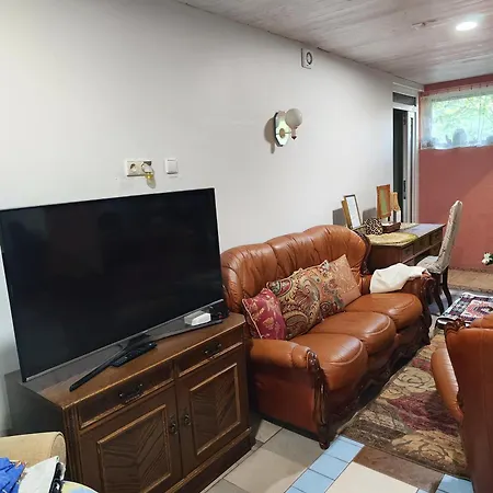 Апартаменты Homestay ,,laisve,, Вильнюс