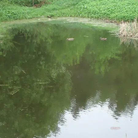 Butas Homestay ,,laisve,,