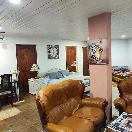 Homestay ,,laisve,, شقة
